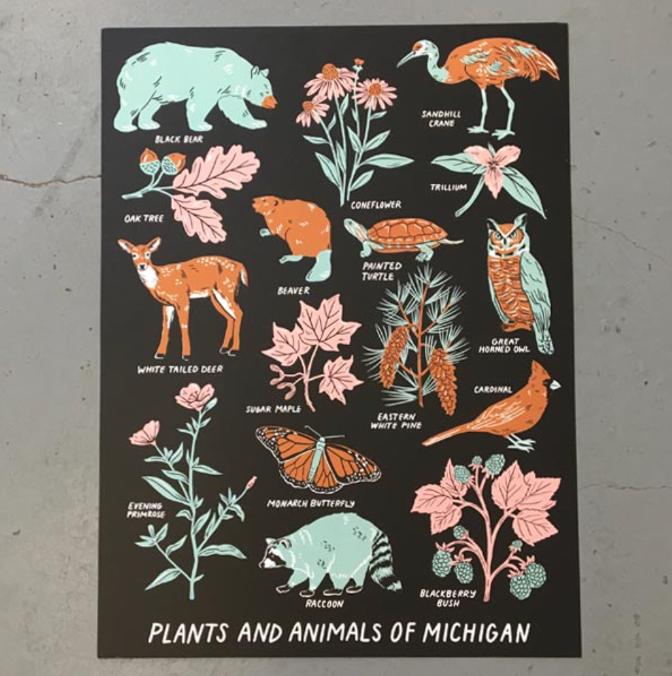 Animals and Plants of Michigan Rectangle Magnet