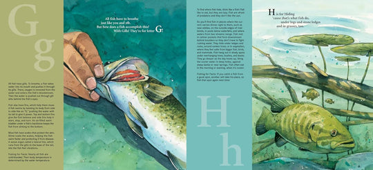 H is for Hook Alphabet Hardcover Book